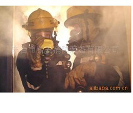 精英（ELITE Lite）红外消防热像仪