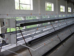 养殖笼加工、养殖笼厂、养殖笼网片厂家价优