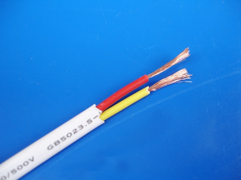 黑挤押电源线 RVV 10*0.5