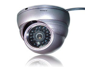 25米室内金属海螺红外半球