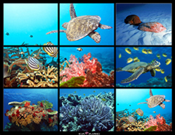 拼接液晶监视器，液晶拼接监视器