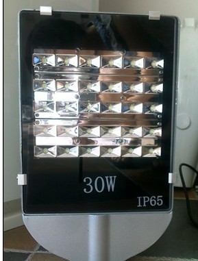 供应30w路灯头单色