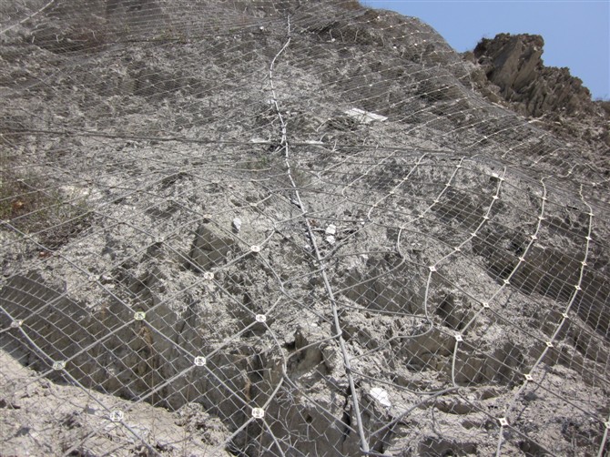 成都主动防护网