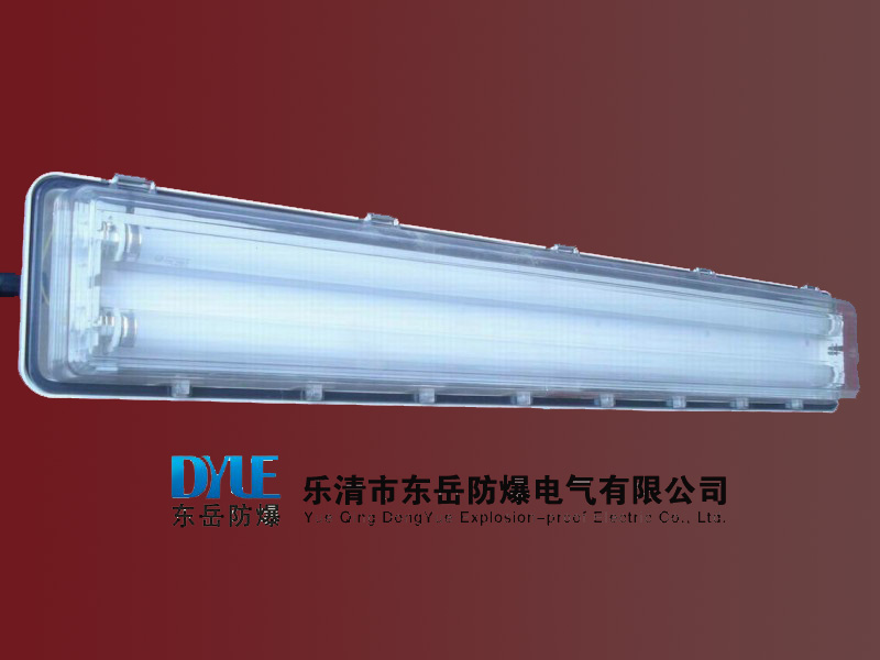 BAY51-Q防爆防腐全塑荧光灯