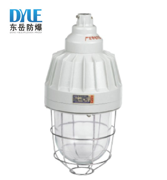 BAD56隔爆型防爆灯