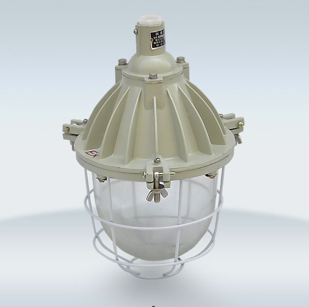 BAD51-200隔爆型防爆灯