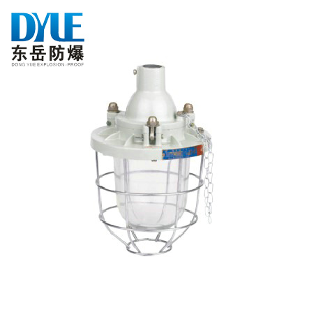 BAD51-100隔爆型防爆灯