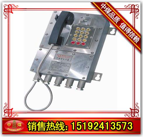 YHIP-700数字型防爆工业话站