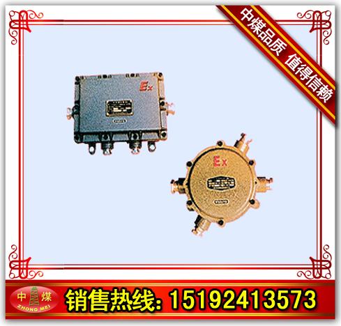 BZYQ51/52—口型防爆增音器