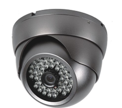 万视王普通海螺型