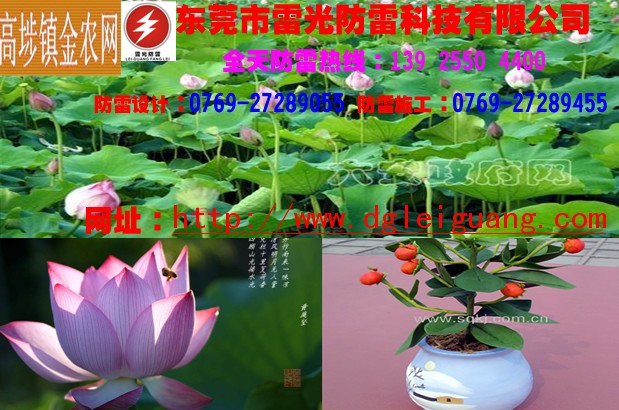 三合一二合一监控防雷器