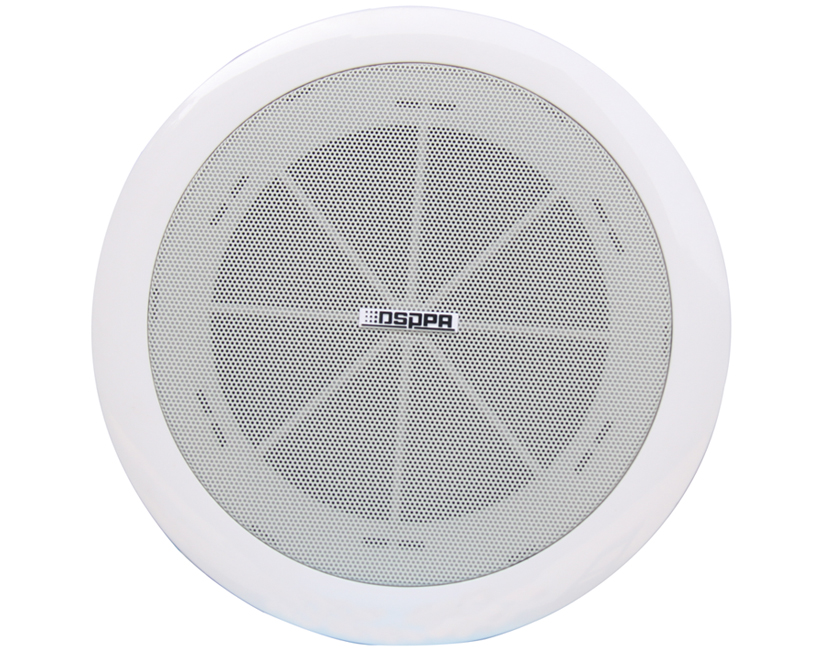 DSPPA（迪士普）天花喇叭2