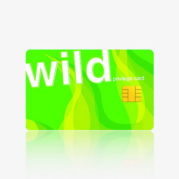 sle4442卡制做，西方门子4442卡制做，制做4442卡，深圳4442卡