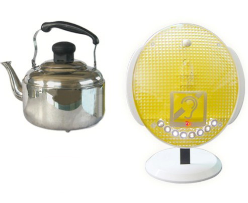 L-1316C型号闪光水壶