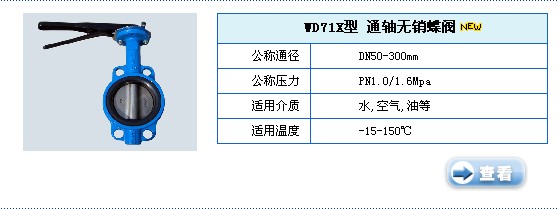 DWD71X通轴无销蝶阀