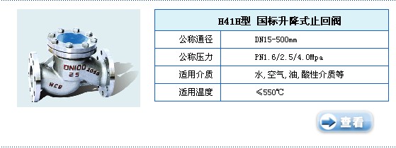 H41H国标升降式止回阀