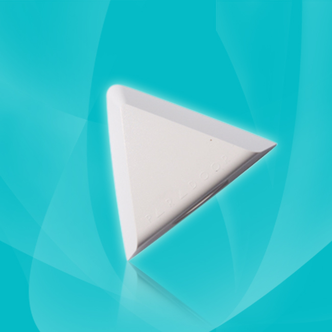 CS-FY1123垂直保护双元红外探测器