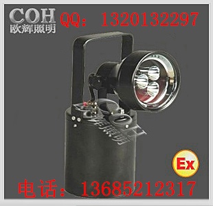 -IW5281-IW5281-检修灯