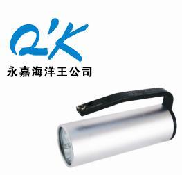 海洋王RJW7101/LT价格，RJW7101报价，RJW7101