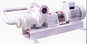 LPG地面泵RB10型－中国天然气网