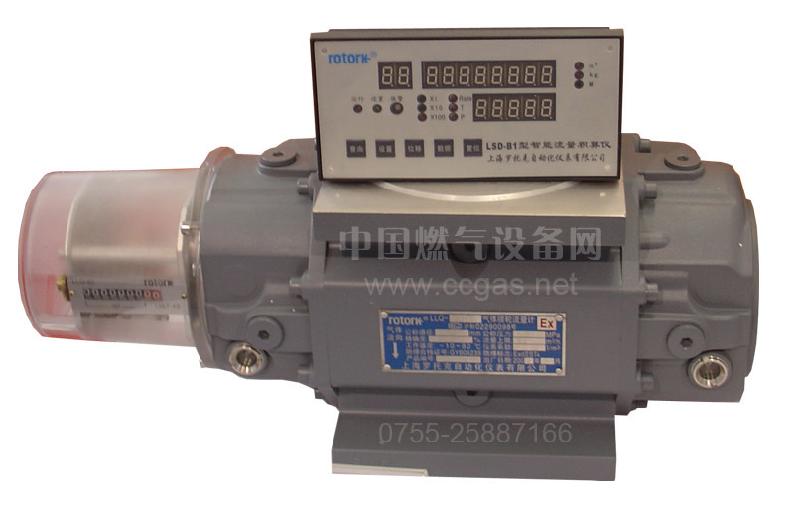 波兰流量计(25887316YY04)