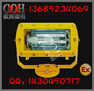外场防爆强光泛光灯_外场防爆灯_外场防爆强光灯