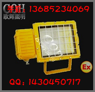 一体式防爆泛光灯_防爆投光灯_一体式防爆灯