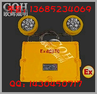 LED双头防爆应急灯_LED防爆应急灯_双头防爆LED应急灯