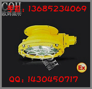 防爆顶灯_100W防爆顶灯_防爆吸顶灯