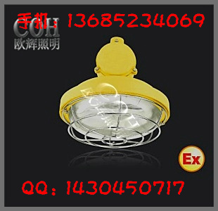 防爆吸顶荧光灯_防爆荧光灯_防爆顶灯