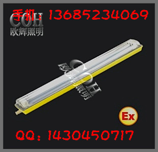防爆防腐荧光灯_防腐单管荧光灯_防爆荧光灯