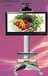 液晶电视移动支架座架/液晶电视移动推车55t