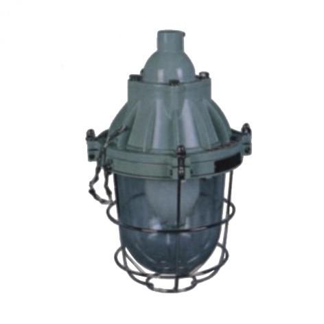 BAD54隔爆型防爆灯