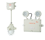 BAJ52防爆应急灯,防爆应急灯,防爆应急灯价格