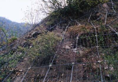 落石防护网-拦截网-被动防护网