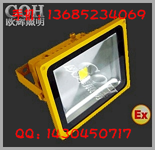LED防爆投光灯_50W LED防爆灯_10W LED防爆灯