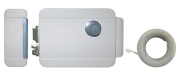 RV系列联网型门禁锁