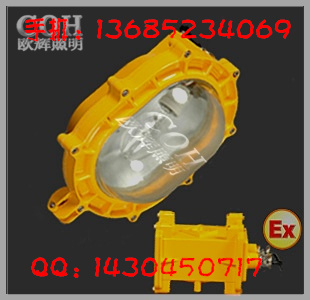 BFE8120_BFE8120 防爆应急灯_BFE8120