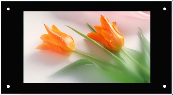 19寸网络广告机