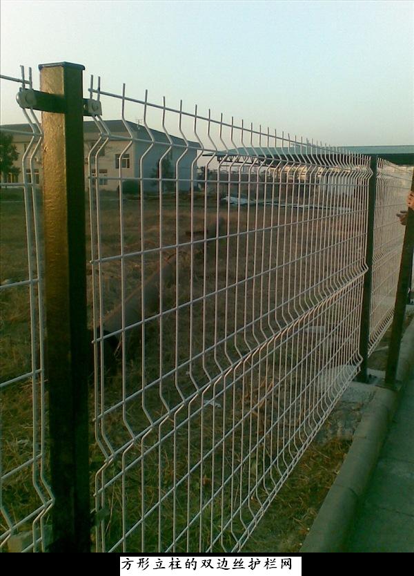 铁丝网围栏 场地围网 圈地围墙 防护铁丝网