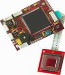 真皮活体指纹采集