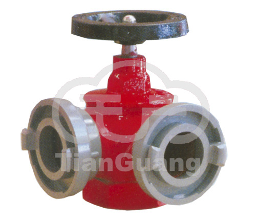 SNS65室内单阀双出口消火栓