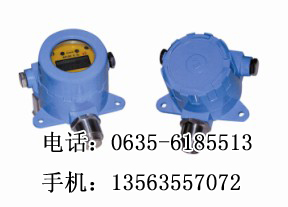 专业生产煤气漏气报警器