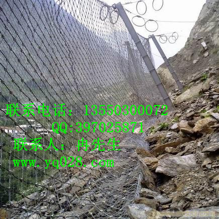 RX025被动防护网