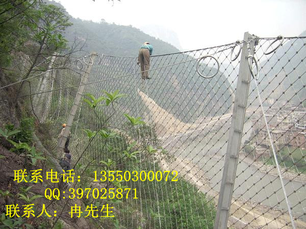 RX075被动防护网