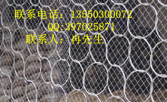 RXI025被动防护网