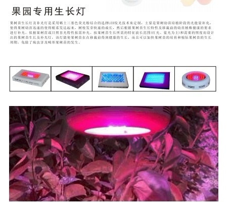 植物增产灯，葡萄专用生长灯