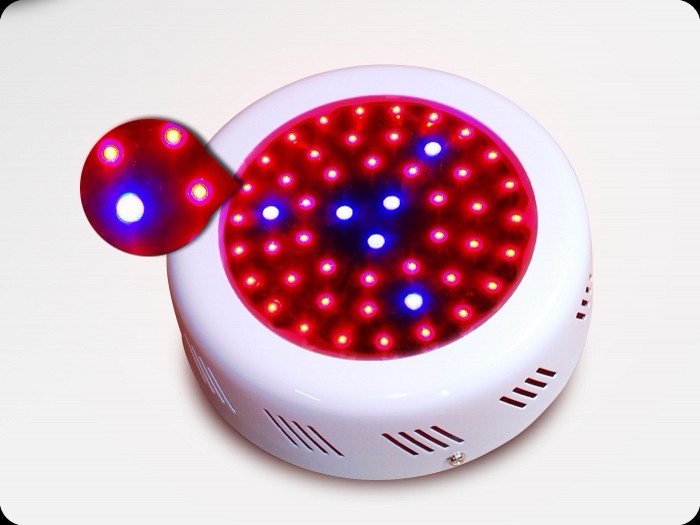 植物生长灯，生长灯专业厂家