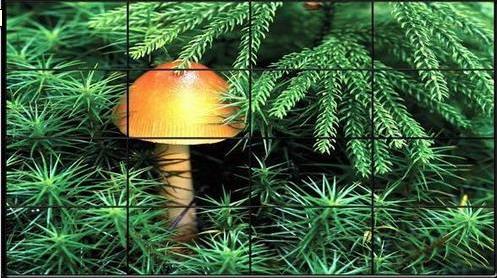 河南地区三星55寸液晶拼接大屏幕