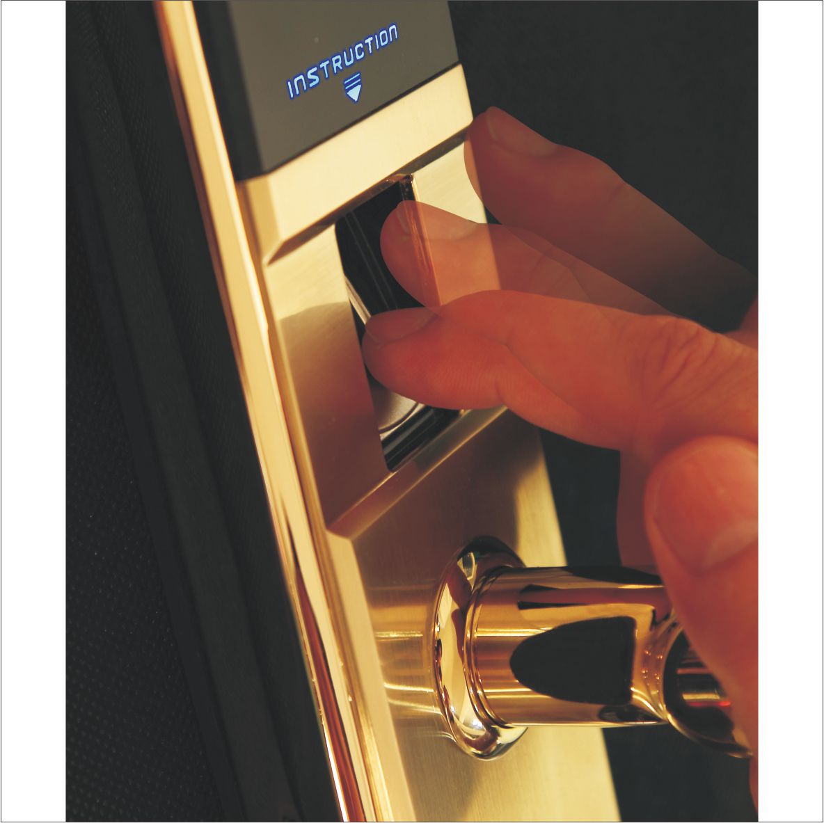 德国凯迪仕5055指纹锁防盗门